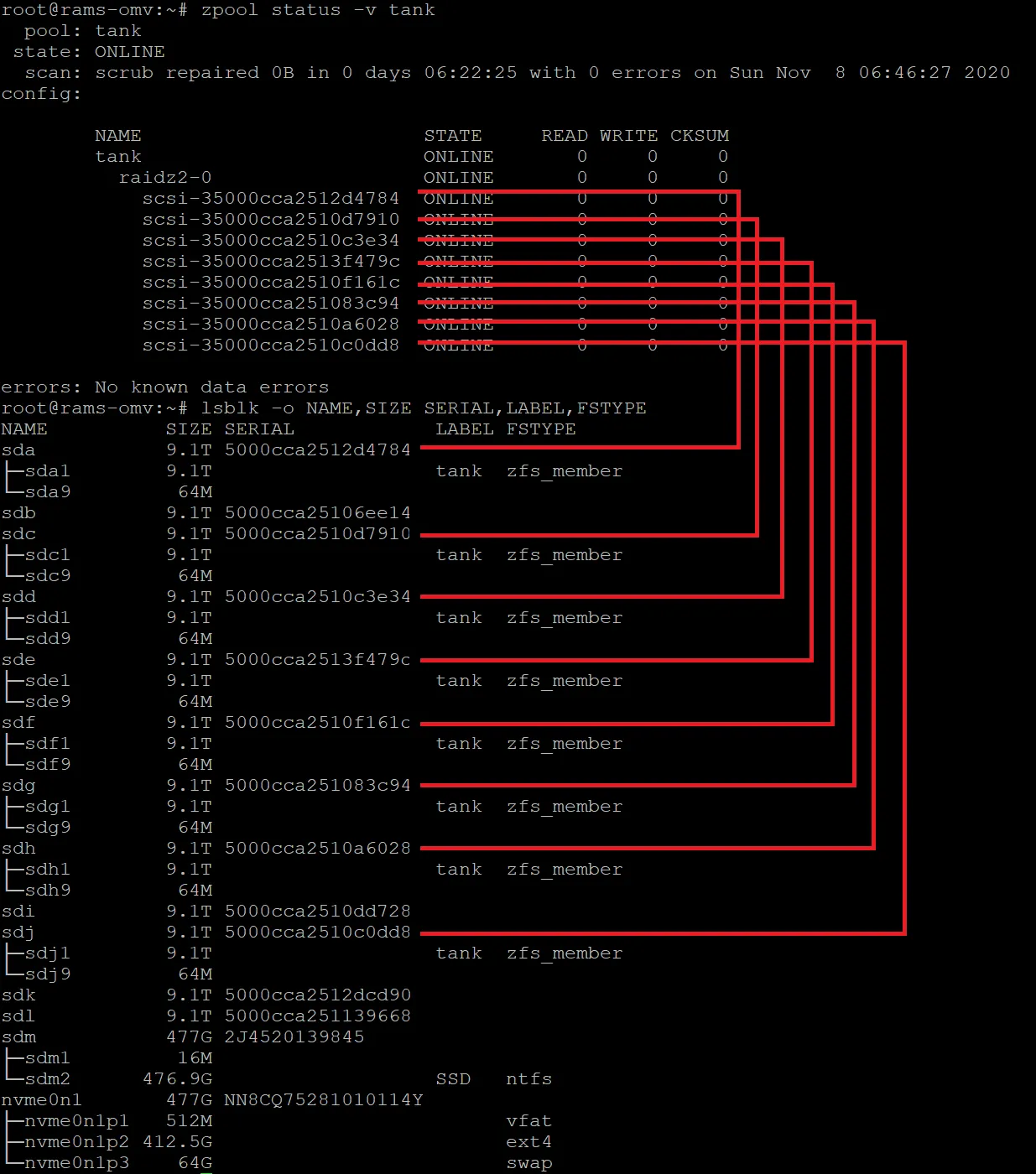 zpool status output above lsblk output, with lines tracing each RAIDZ2 pool member's scsi identifier to the matching serial number in lsblk